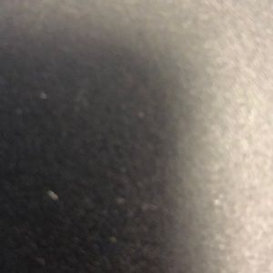 Meet your Posher, Trevor